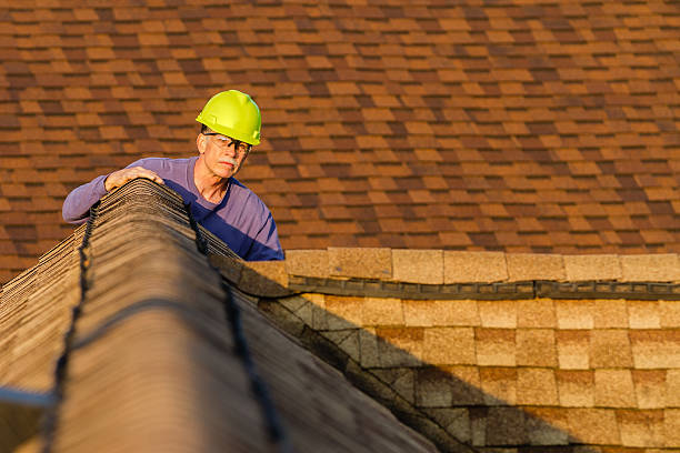 Best Roof Gutter Cleaning  in Many, LA